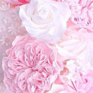 Meet your Posher, Alma